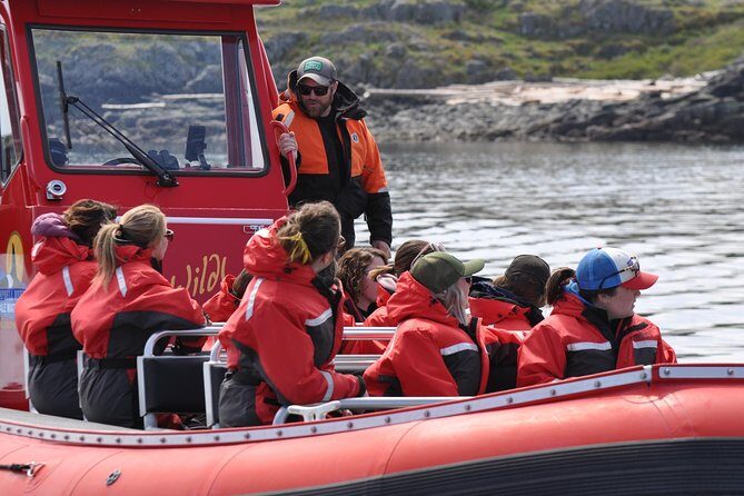 Zodiac Boat Whale and Wildlife 6-Hour Tour from Campbell River - Price of $251.72: does it feel like a fair deal?