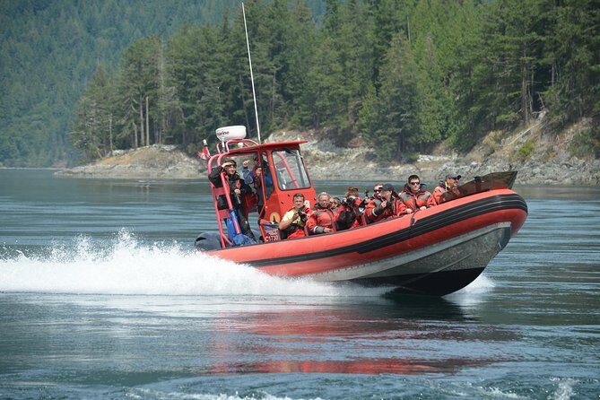Zodiac Boat Whale and Wildlife 7-8-Hour Tour from Campbell River - Where you start in Campbell River (and how it keeps things easy)