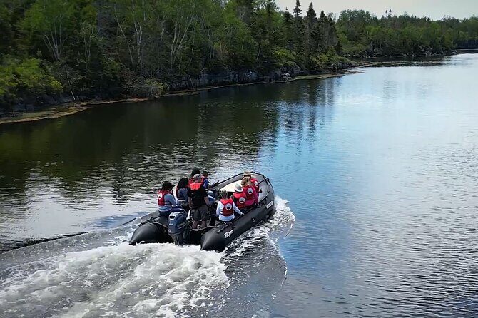 Zodiac Coastal Tour with Naturalist Guide: Lunenburg - Key Things You’ll Notice on This Zodiac Tour