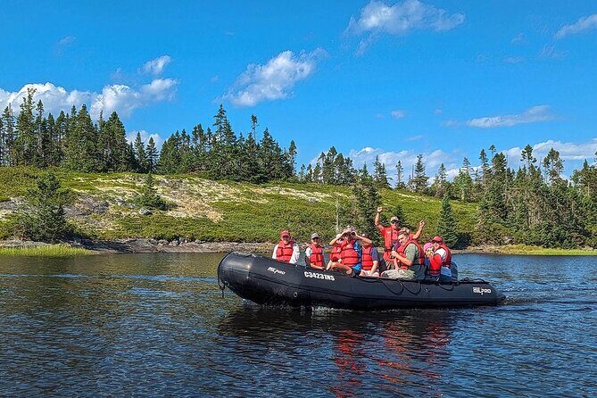 Zodiac Coastal Tour with Naturalist Guide: Lunenburg - The Zodiac Ride: Comfortable, Close, and Built for Real Water